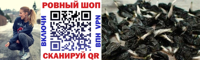 Какие есть наркотики Иркутск A PVP  МЕФ  hydra ссылки  Канабис  ГАШ  Амфетамин 