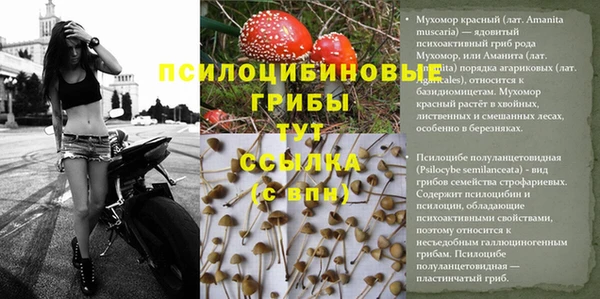 спайс Козловка